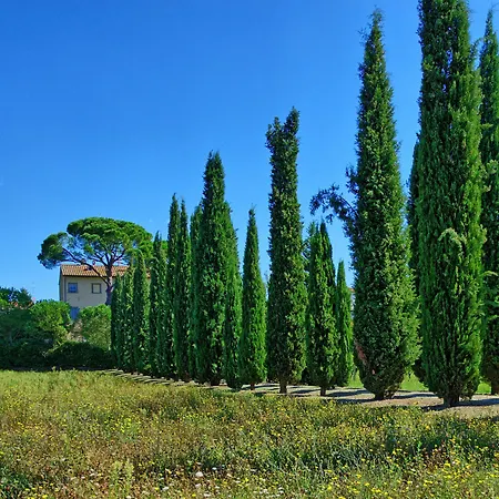 Giovi Arezzo